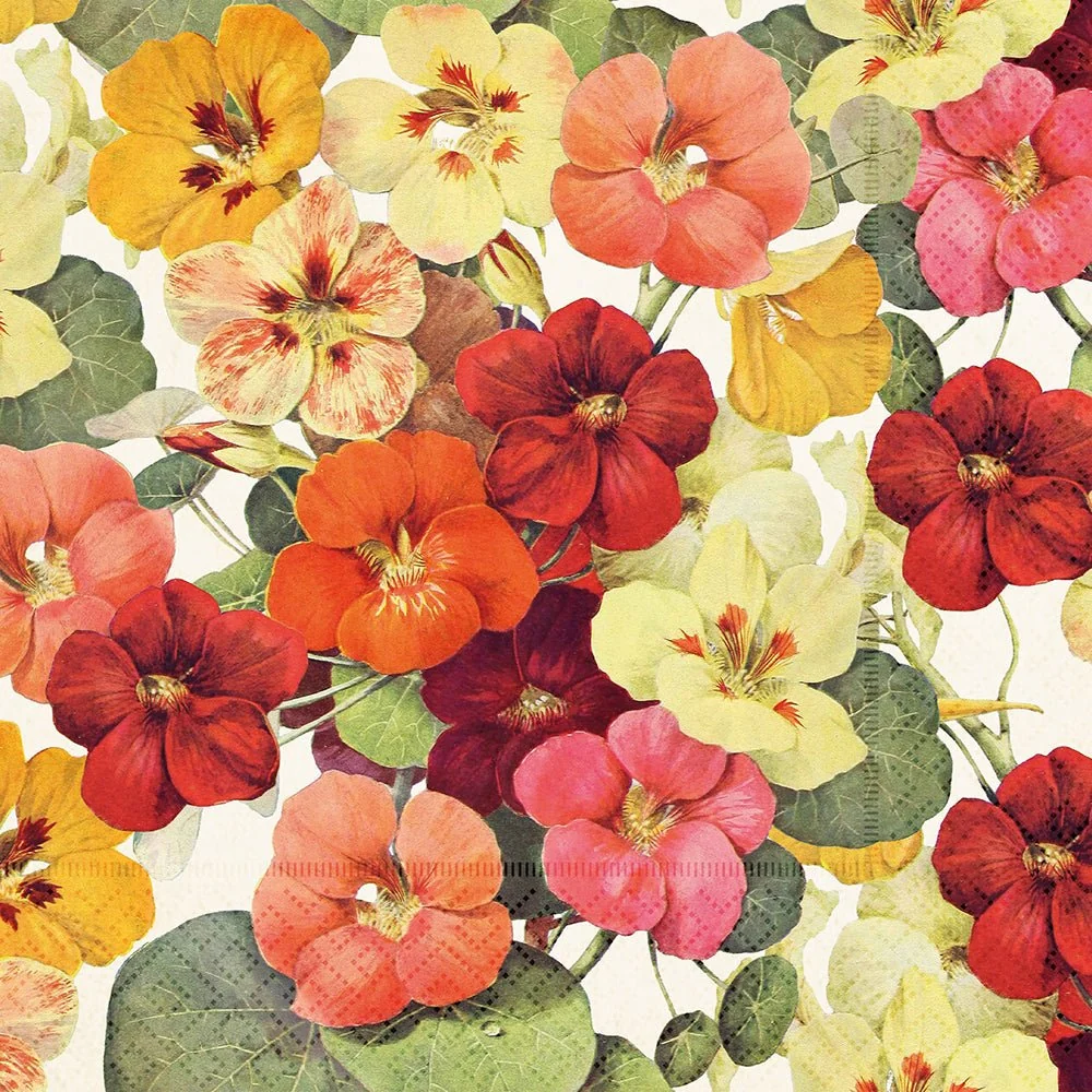 Lunchservietter - 33x33 cm / Sommerblomster