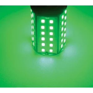 Talamex, LED pære60 LED-lampe 10-30V Bay15d Grønn, 14340678