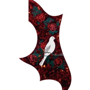 Boston PG-11-DV pickguard