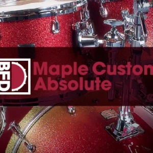 Maple Custom Absolute