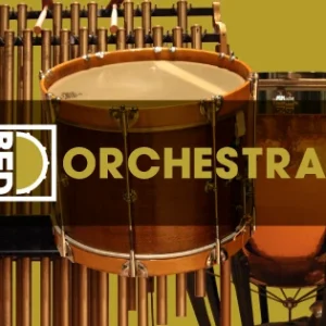 Orchestral