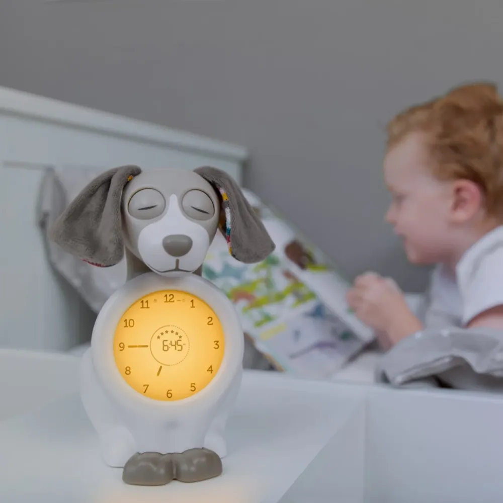 Zazu Brown Davy Dog Søvntrener