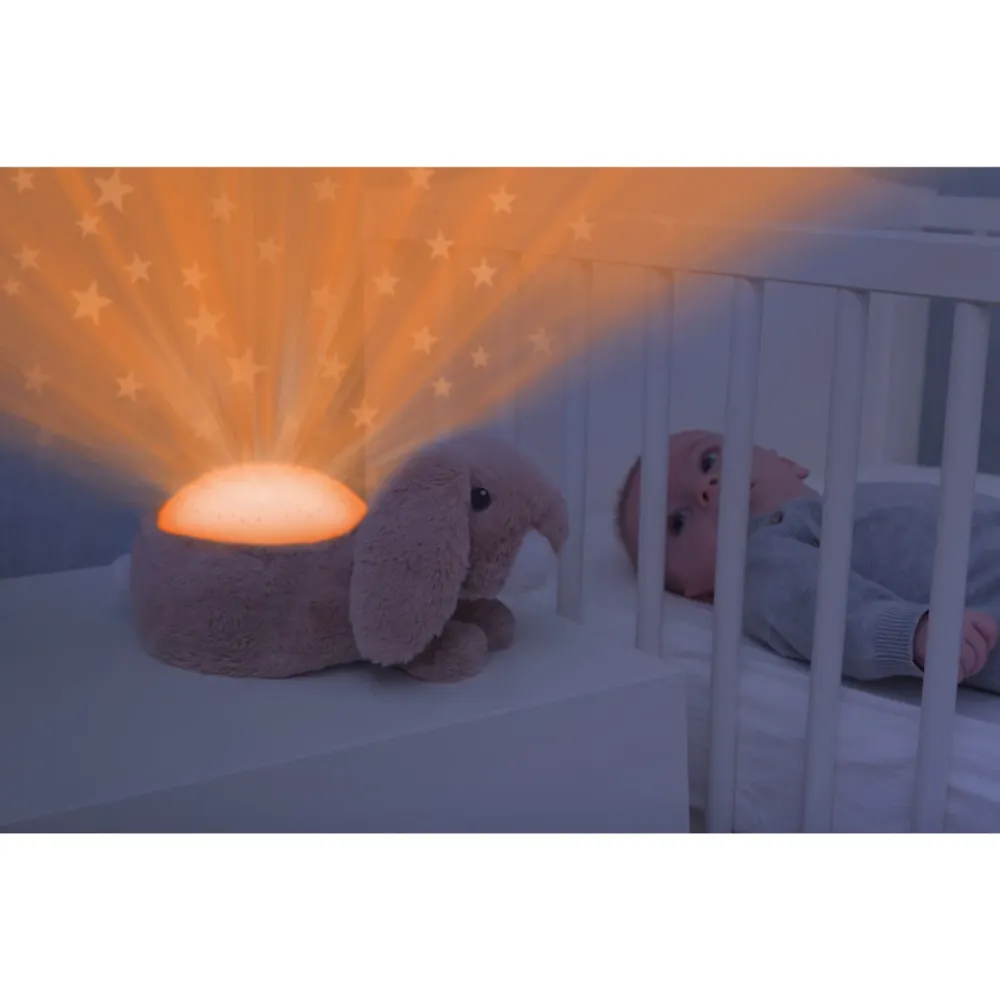 Zazu Brown Ruby Rabbit Projector