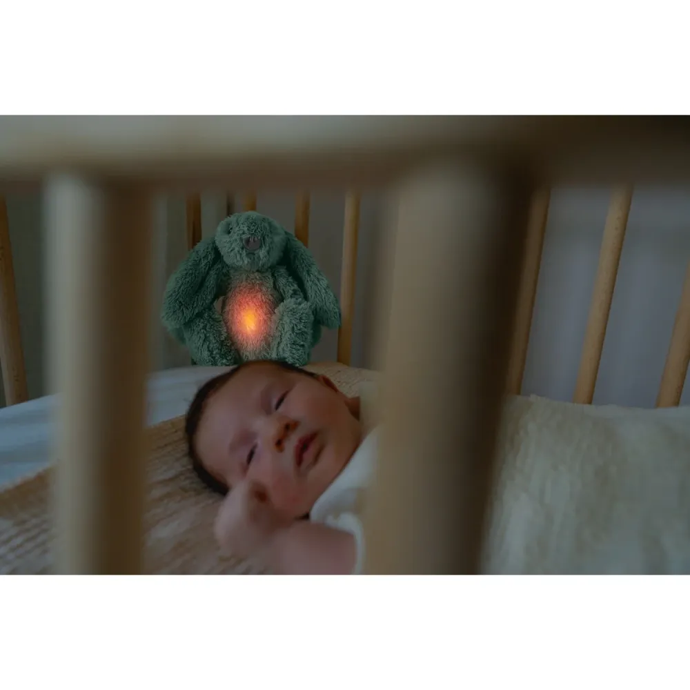 Zazu Green Ro Rabbit Nightlight