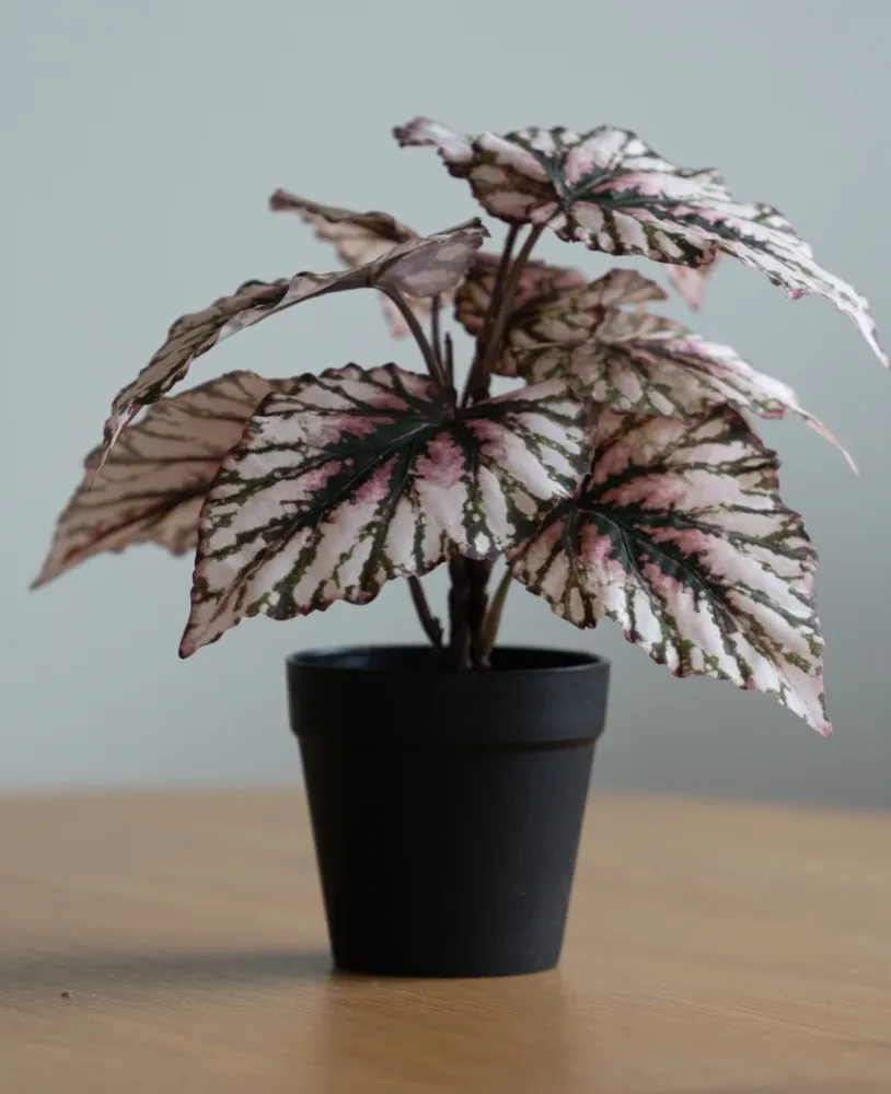 Kunstig Begonia i Potte Lilla UV 25cm