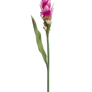 Kunstig Curcuma Stilk Lilla 80cm