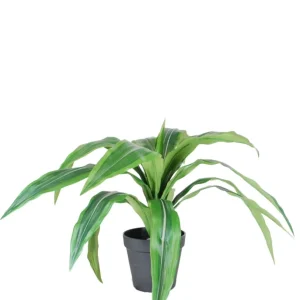 Kunstig Dracaena i Potte UV 50cm