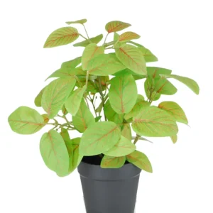 Kunstig Fittonia i Potte UV 25cm