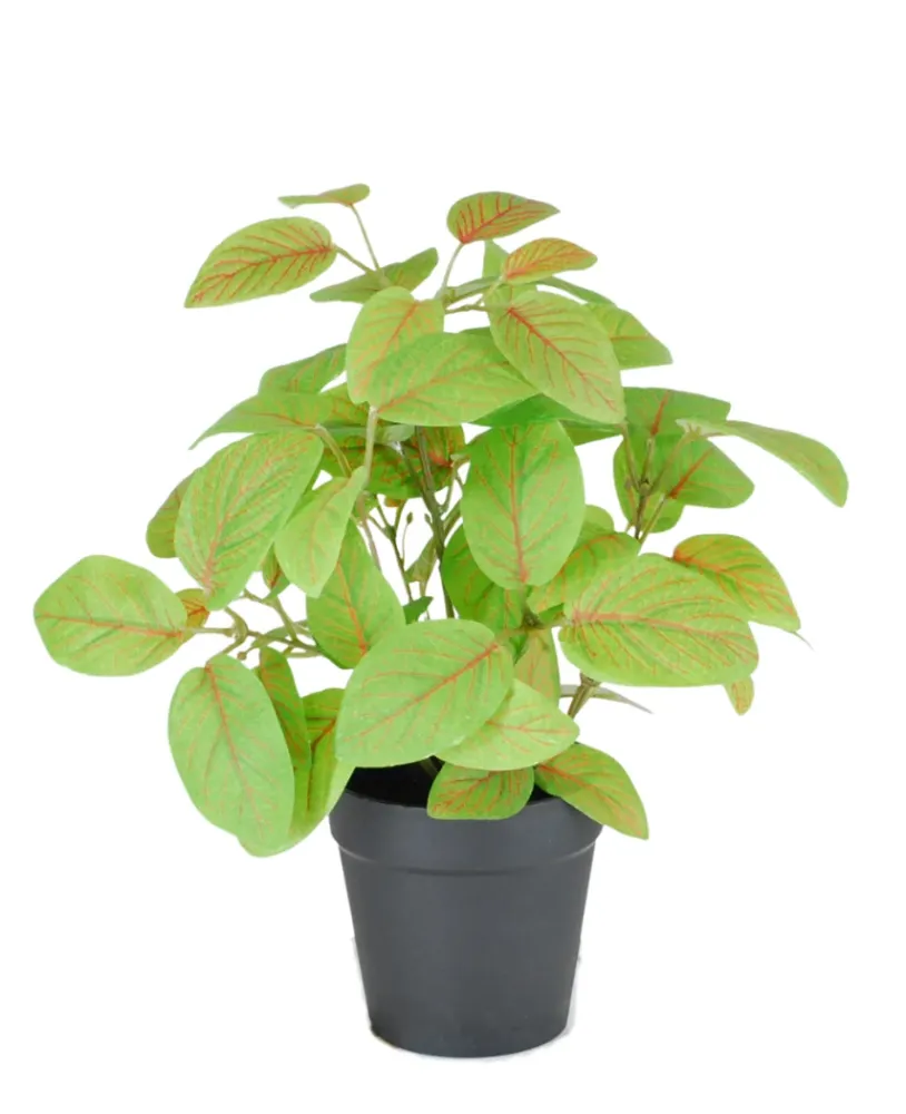 Kunstig Fittonia i Potte UV 25cm