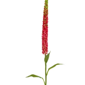 Kunstig Kniphofia Rakettblomst Fuchsia 107cm