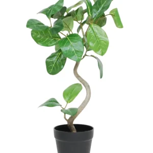 Kunstig Minitre Fikus Elastica UV 42 cm