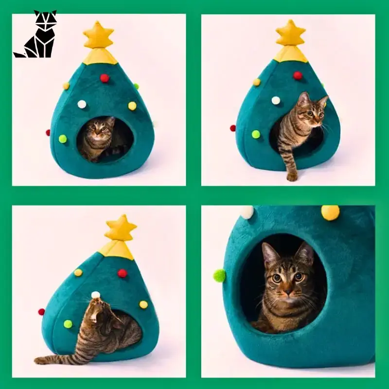 Julehule katt