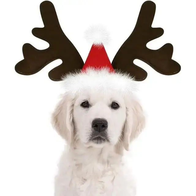 Unik Design Hunde Julehatt