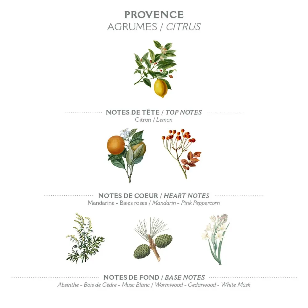 Flytende Marseille-såpe – Provence