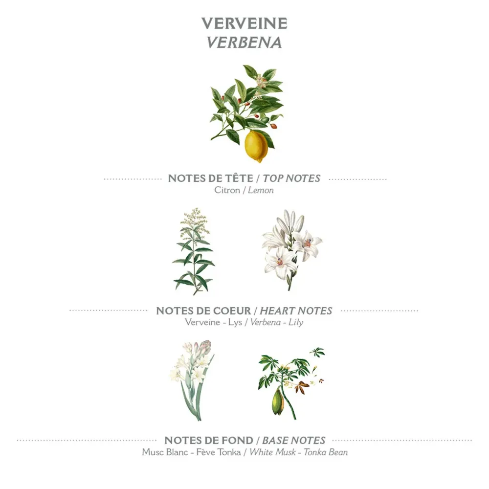 Flytende Marseille-såpe – Verbena