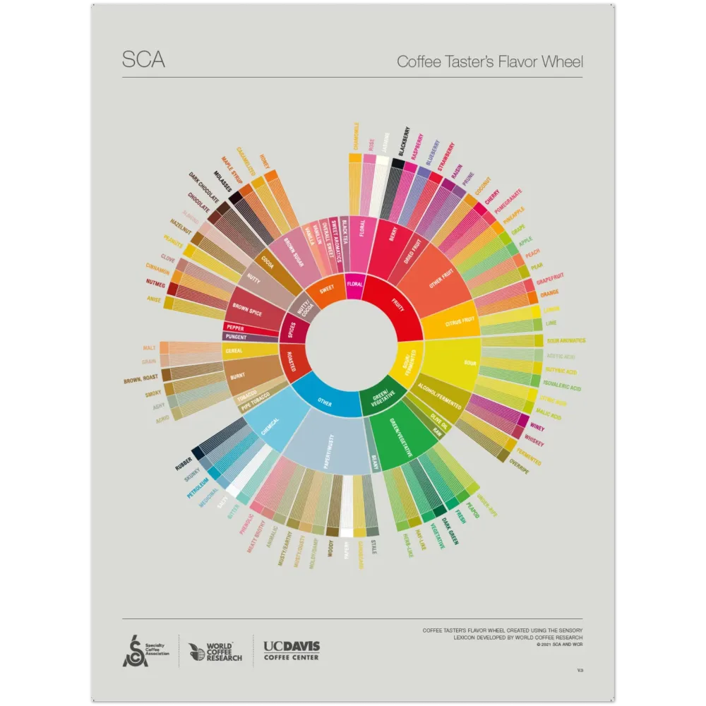 Coffee Taster's Smakshjul Plakat -SCA