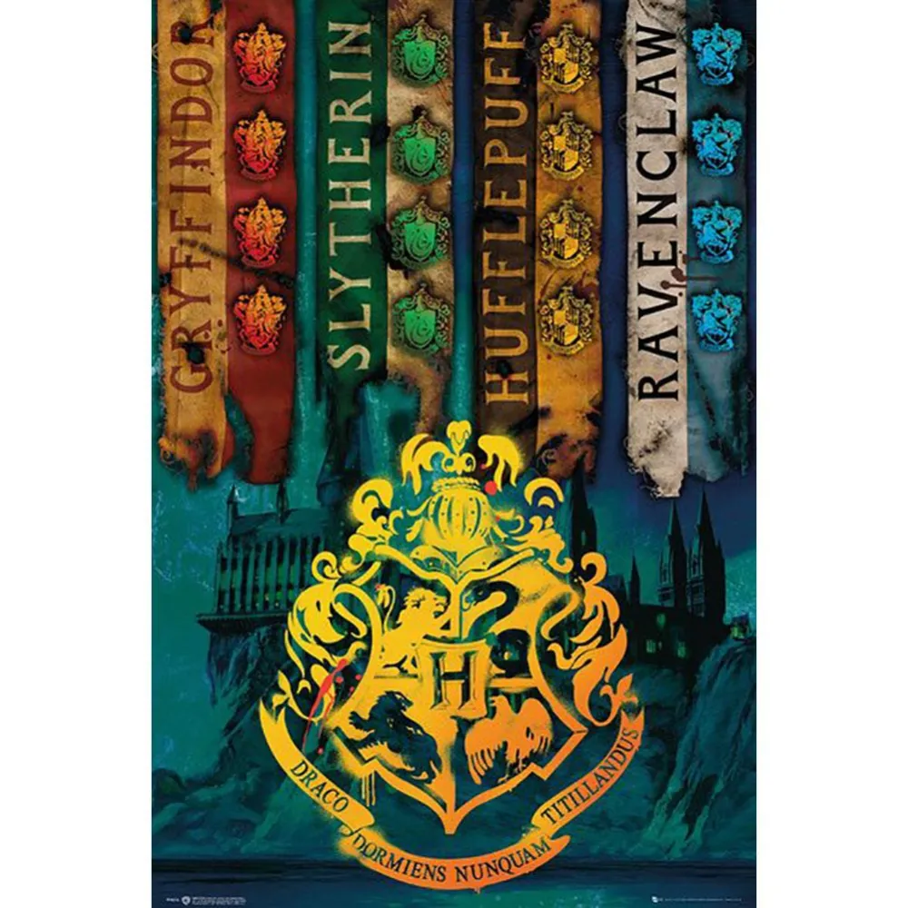 Harry Potter Husflagg Plakat