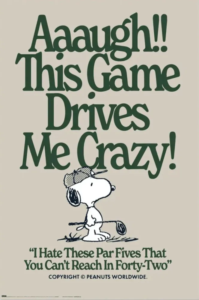 Snoopy Plakat Drives Me Crazy