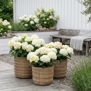 Plantekurver RATTAN – Sett med 3 størrelser