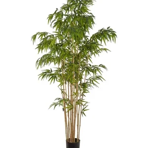 BAMBUS 210CM