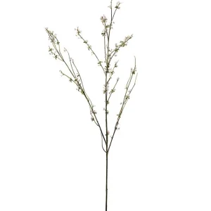 BLOMKVIST
