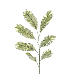 CYCASBLAD