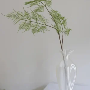 FERN PLANT