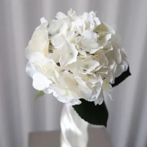 LIFELIKE HYDRANGEA CREME