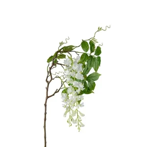 VISTERIA