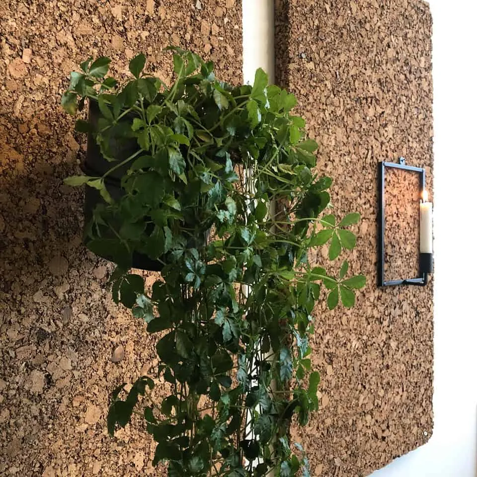 VIAMAJA Pottering-sett – Sort