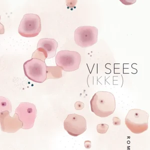 Vi sees (ikke) · Roman