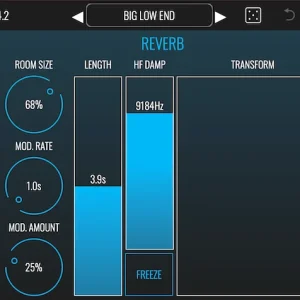 BLEASS Reverb