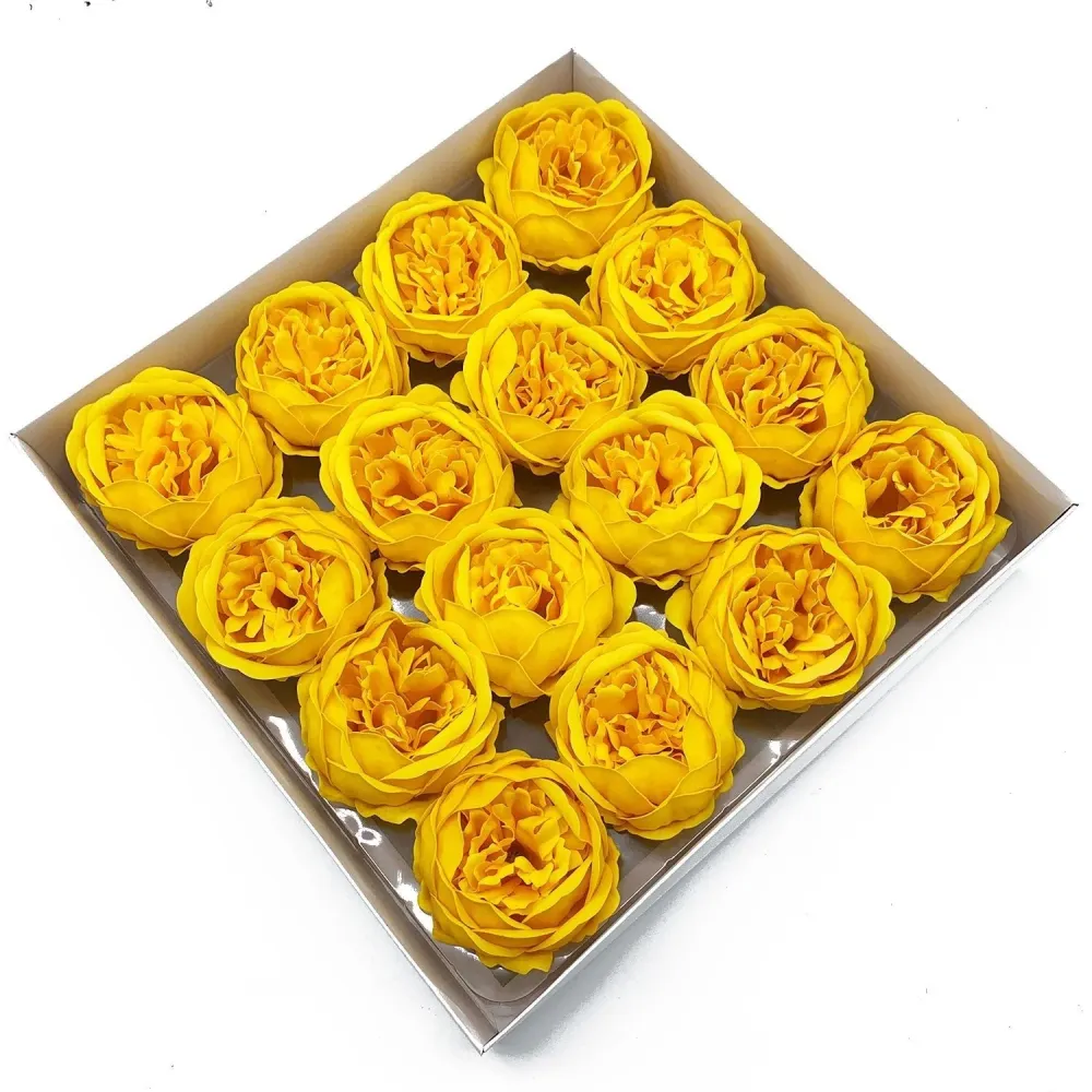 Såpeblomster Ekstra Store Peon Gul 10 Pakke