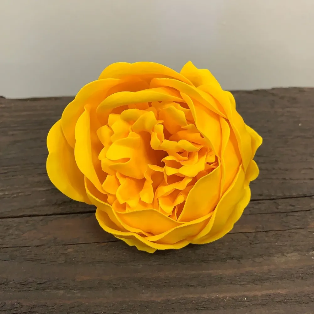 Såpeblomster Ekstra Store Peon Gul 10 Pakke