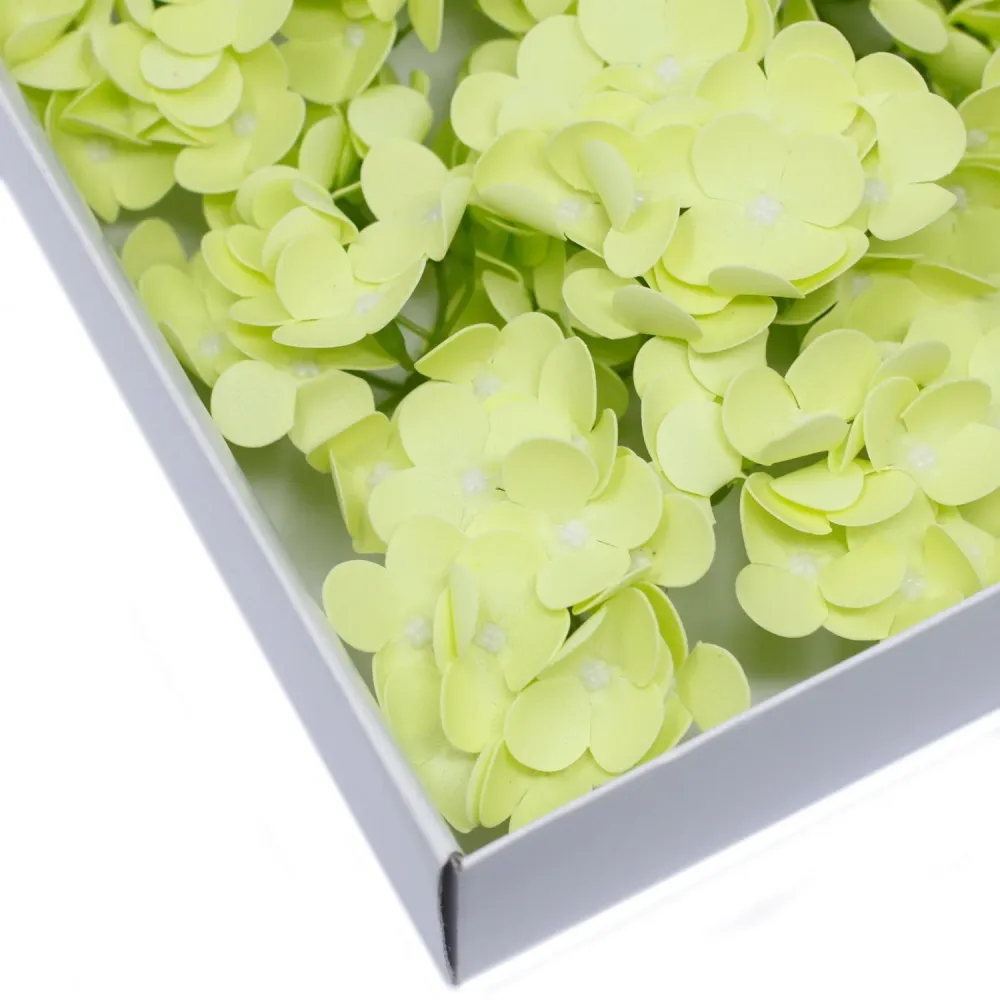 Såpeblomster Hyasintbønne Vårgrønn 10 Pakke