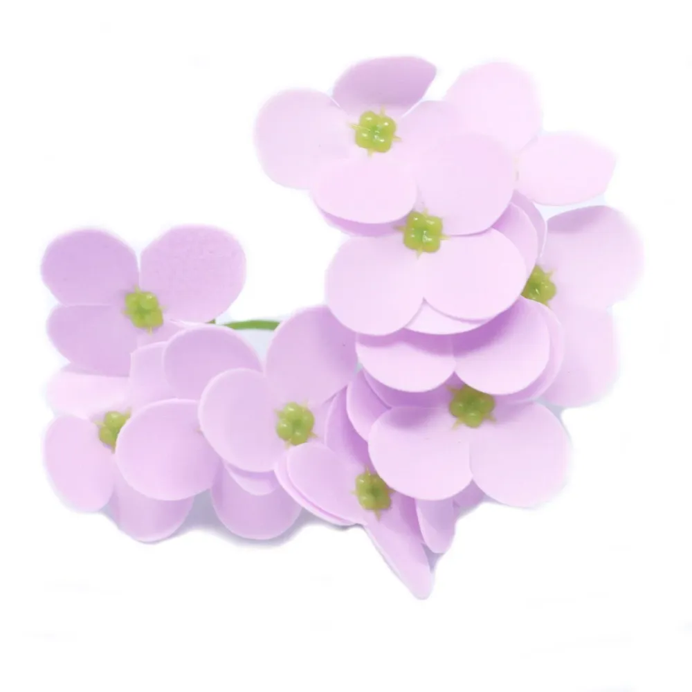 Såpeblomster Lavendel Hyasint Bønne 10 Pakke