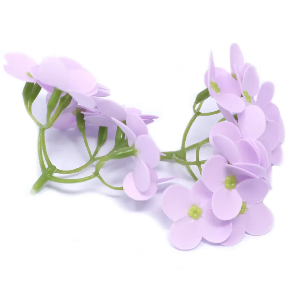 Såpeblomster Lavendel Hyasint Bønne 10 Pakke