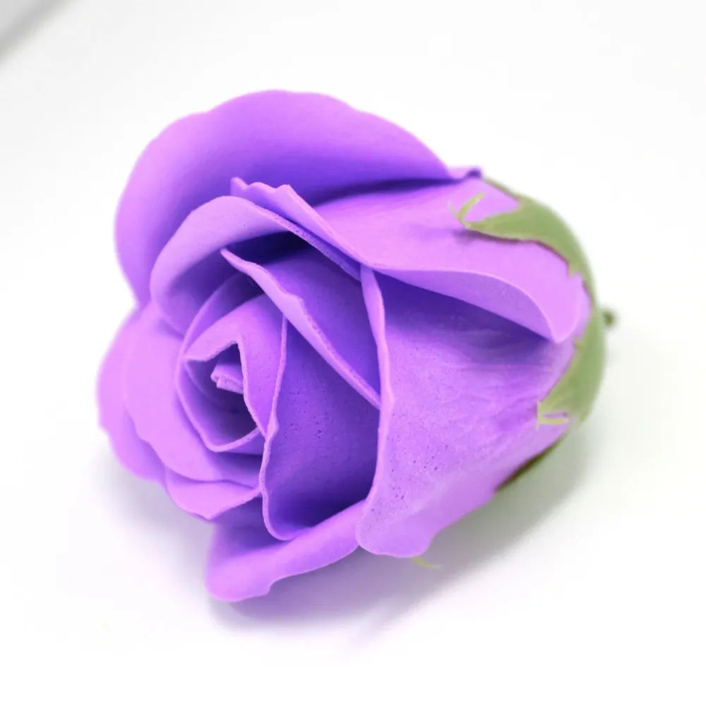 Såpeblomster Lavendel Medium Rose 10 Pakke