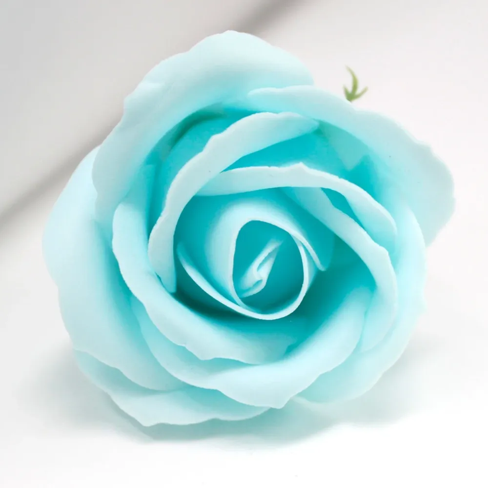Såpeblomster Medium Rose Babyblå 10 Stykker