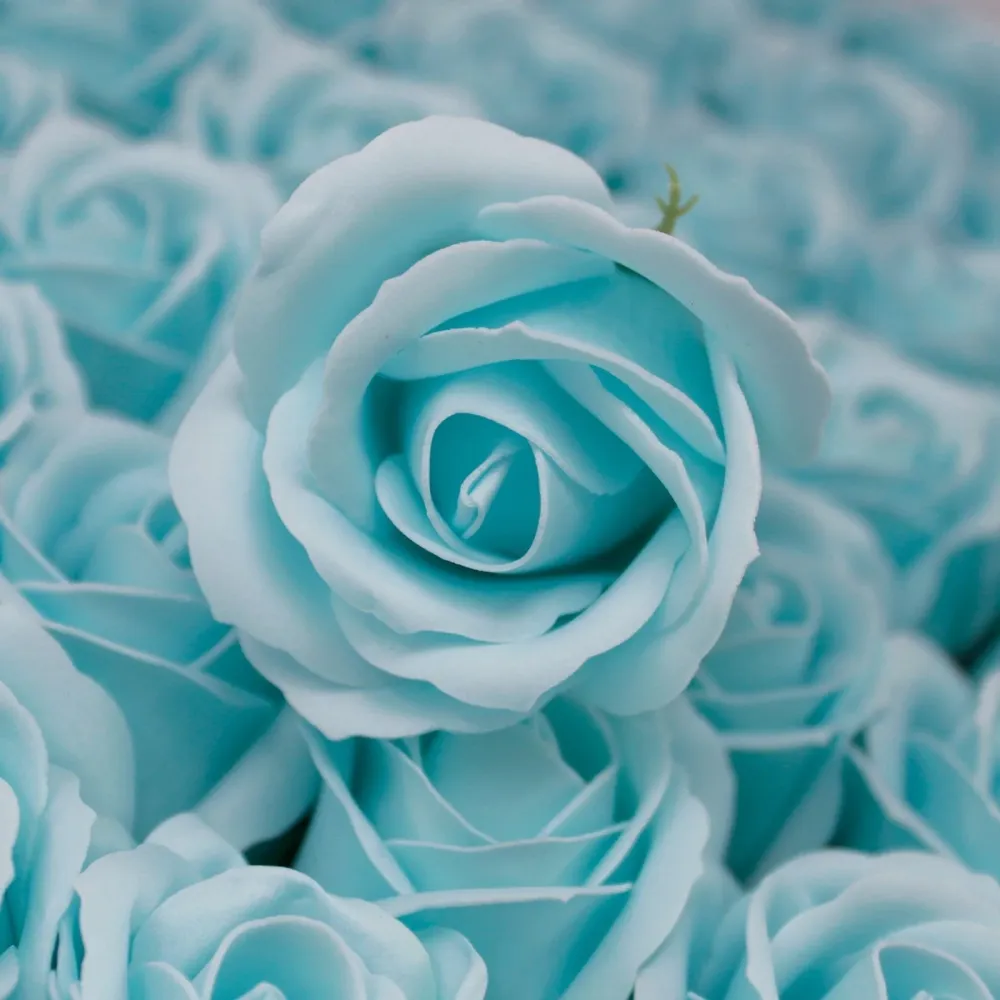 Såpeblomster Medium Rose Babyblå 10 Stykker