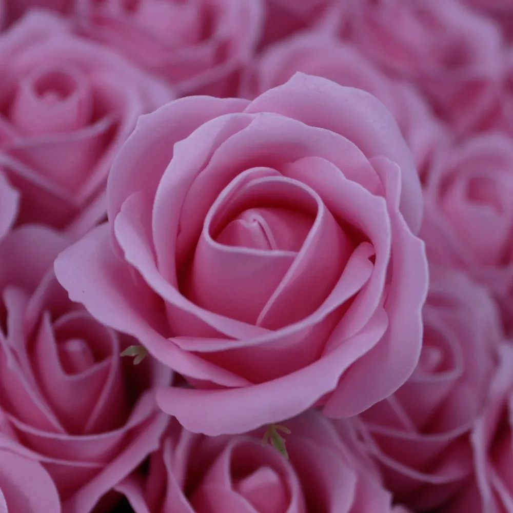 Såpeblomster Medium Rose Blush Sett med 10