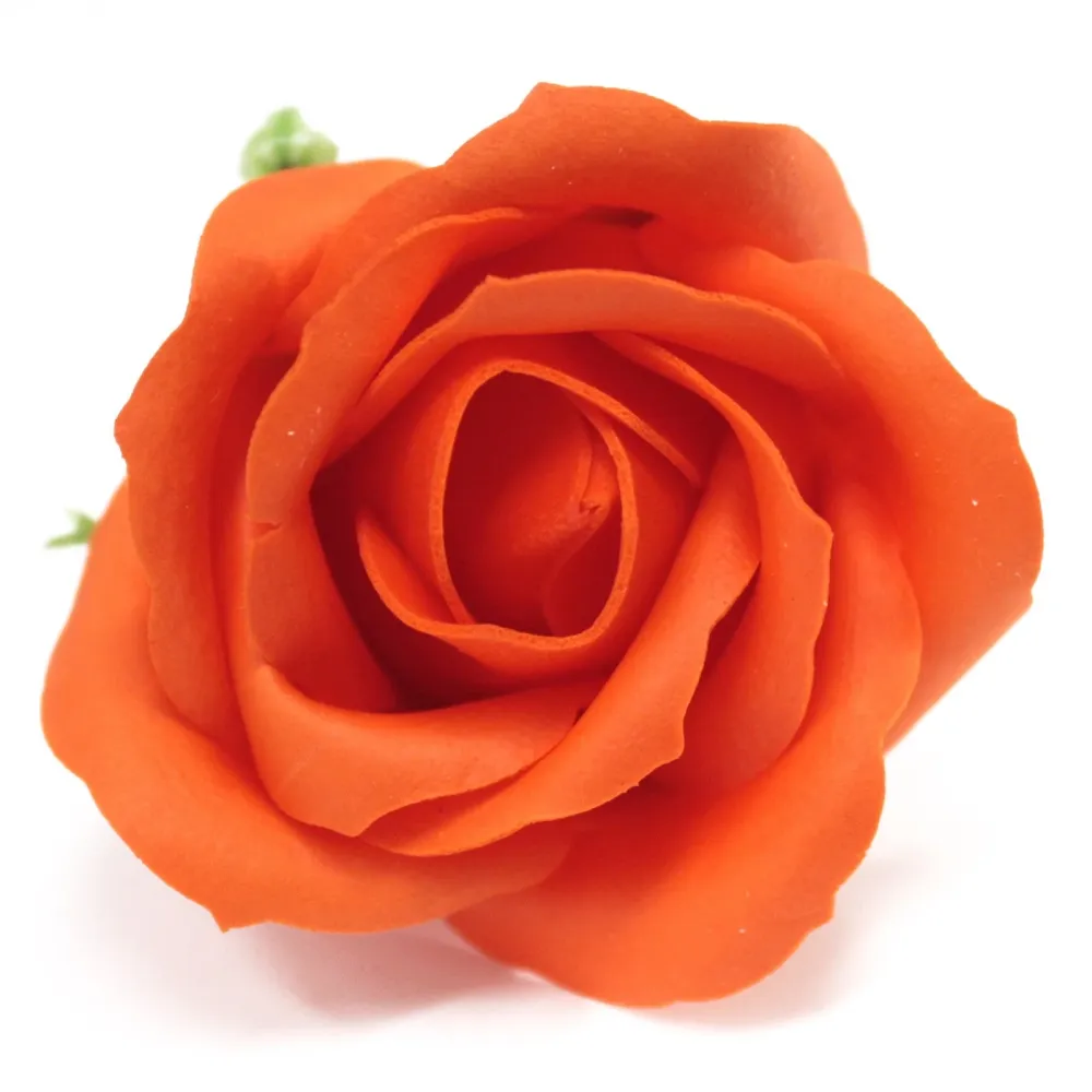 Såpeblomster Medium Rose Solnedgang Oransje, 10 Pakke