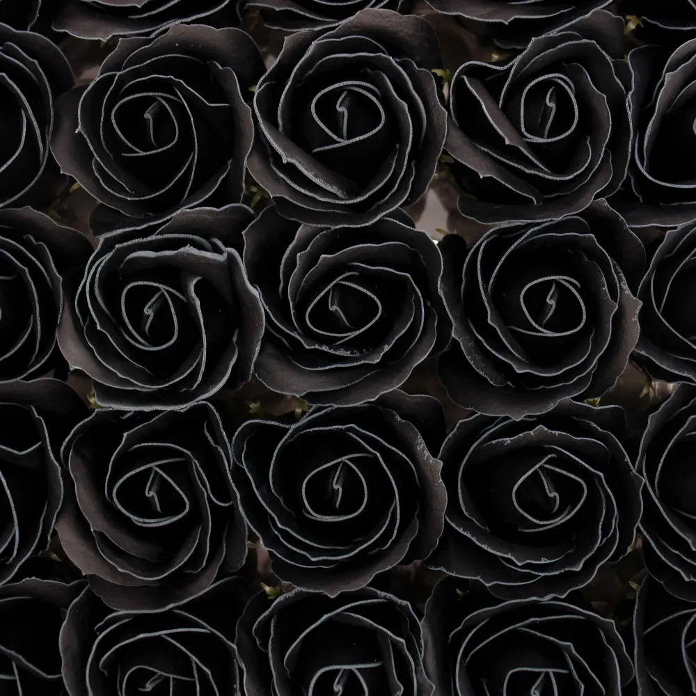 Såpeblomster Medium Rose Svart Hvit Kant 10-pakning