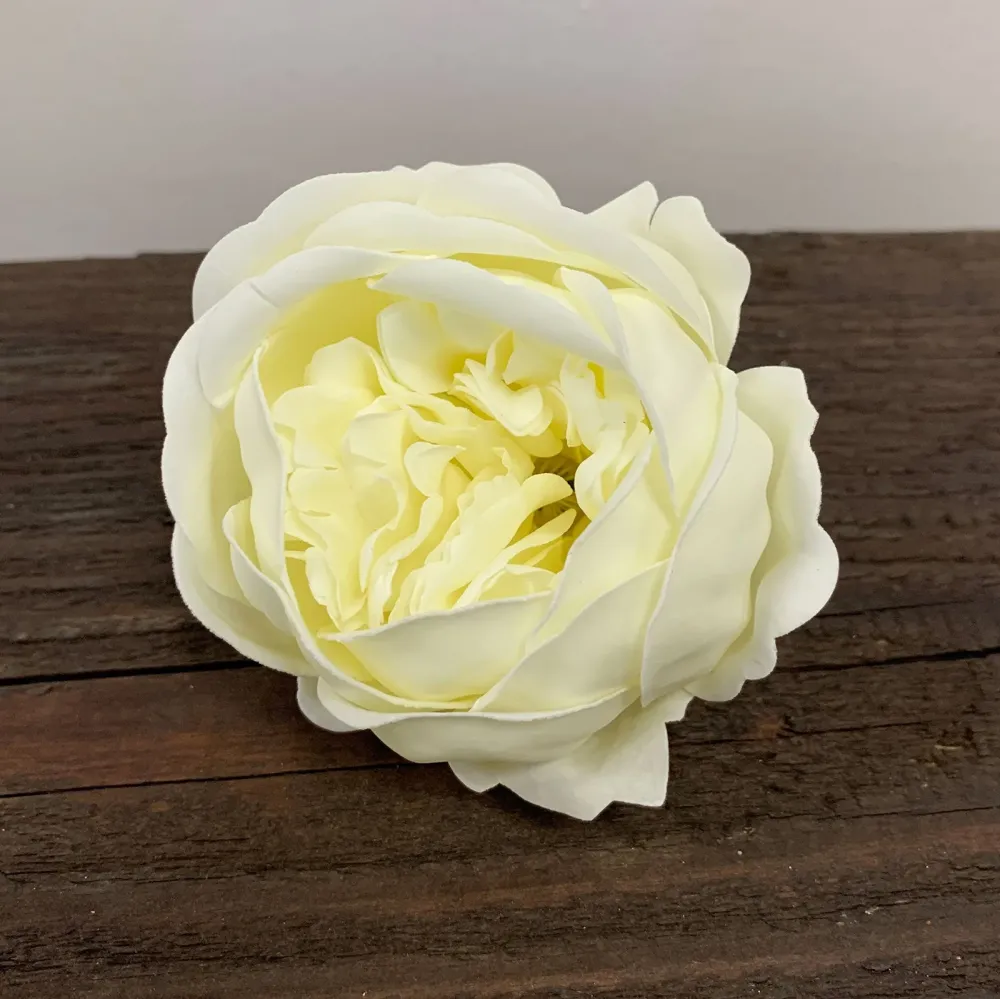 Såpeblomster Peon Elfenben Ekstra Stor 10 Pakke