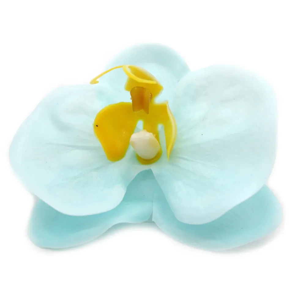 Såpeblomster Peon Blå 10 Stykker