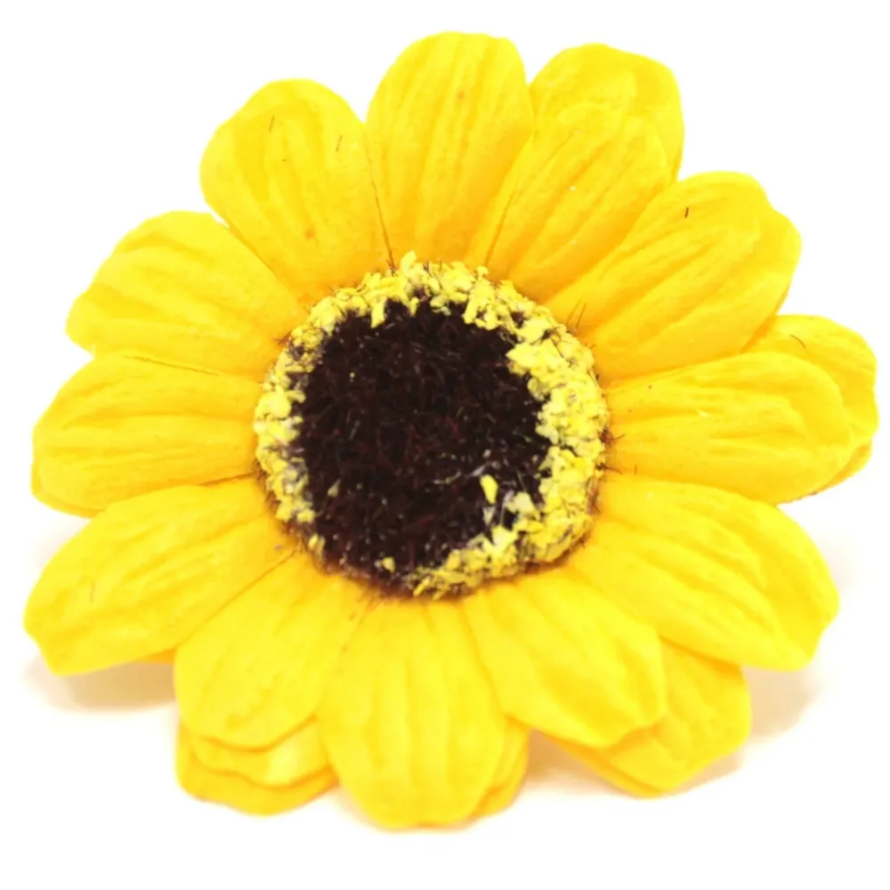 Såpeblomster Små Solsikke Gul, 10 Stykker