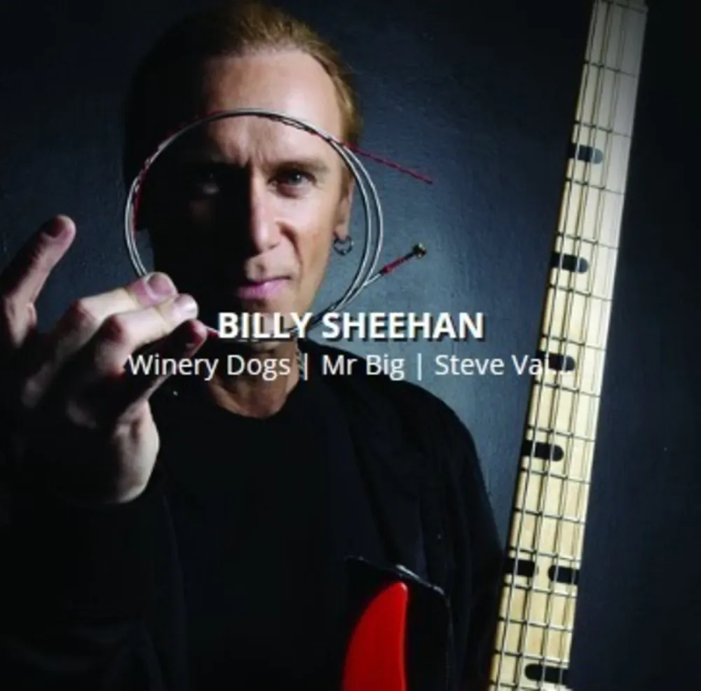 Rotosound E-Bass-strenger Swing Bass 66 - sett 4-strengers Billy Sheehan Custom 43-110 (BS66)
