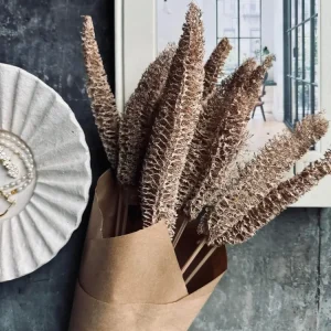 Evighetsbukett - Luffa Sand