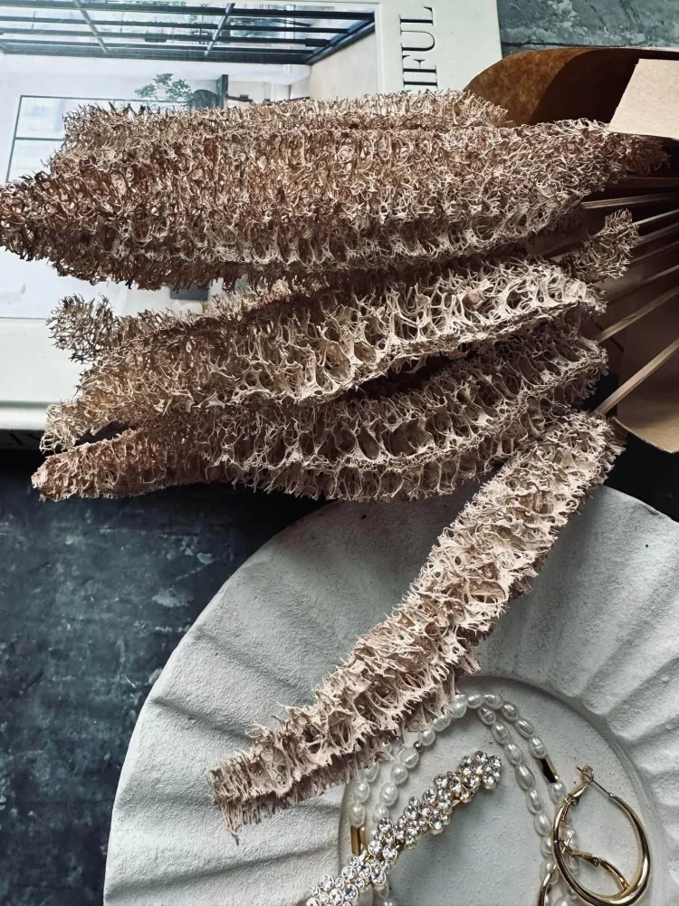 Evighetsbukett - Luffa Sand