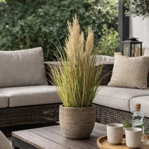 Pampas i potte til innendørs og utendørs - 60 cm